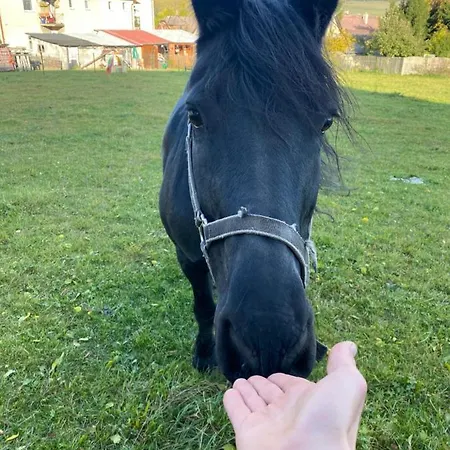Pod Suchym Vrchem Červená Voda